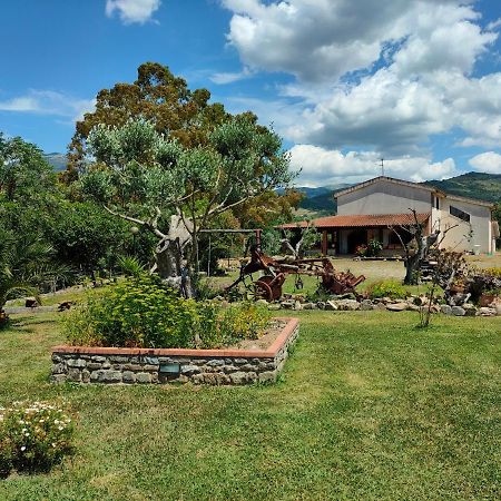 Cicerale Azienda Agrituristica Verdevalle المظهر الخارجي الصورة