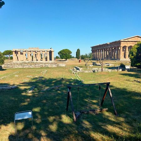 Cicerale Azienda Agrituristica Verdevalle المظهر الخارجي الصورة