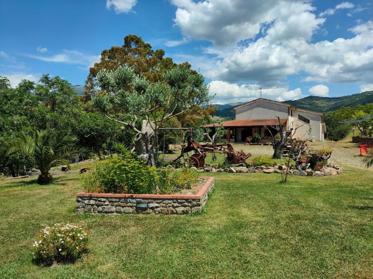 Cicerale Azienda Agrituristica Verdevalle المظهر الخارجي الصورة