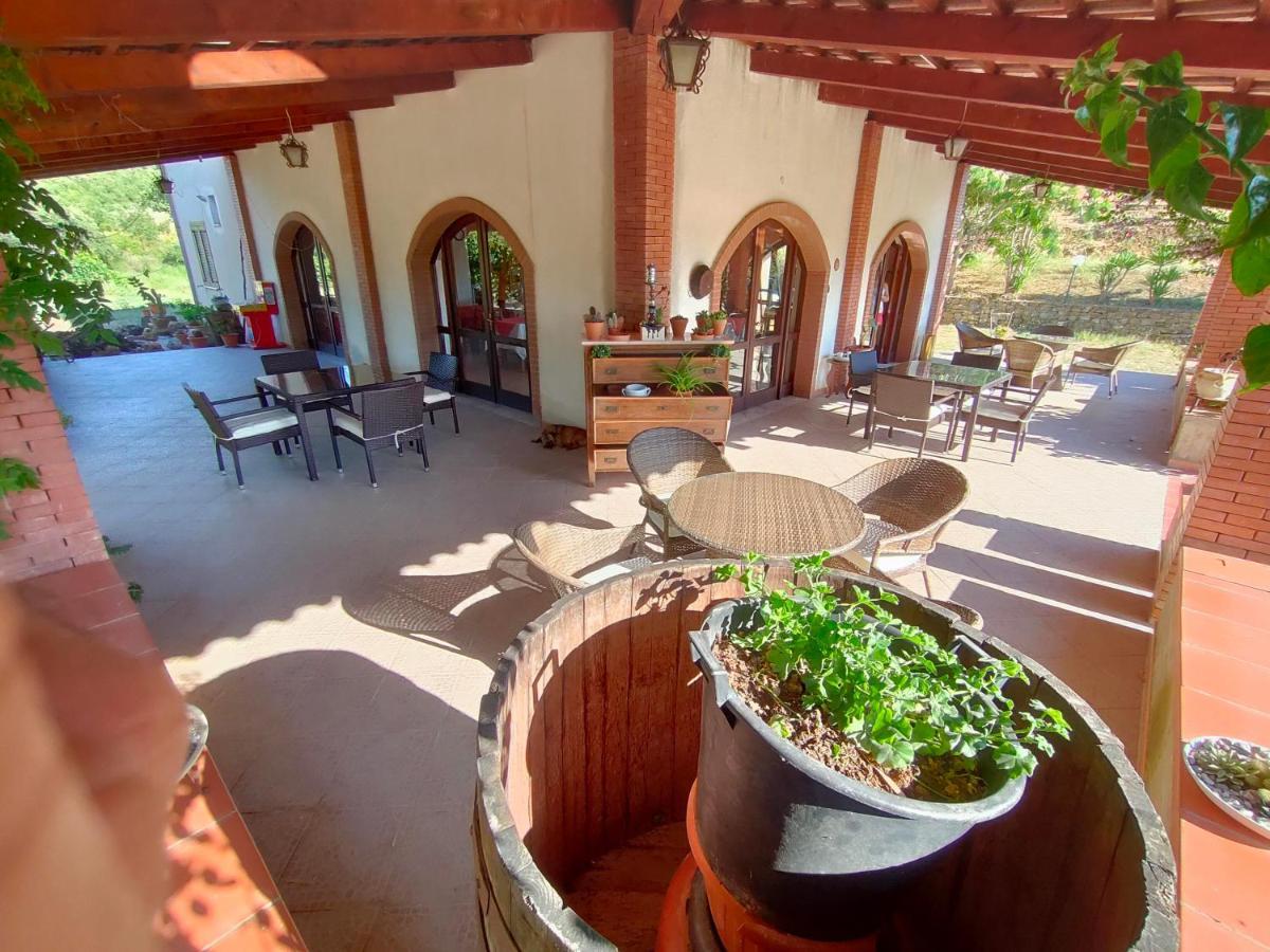 Cicerale Azienda Agrituristica Verdevalle المظهر الخارجي الصورة