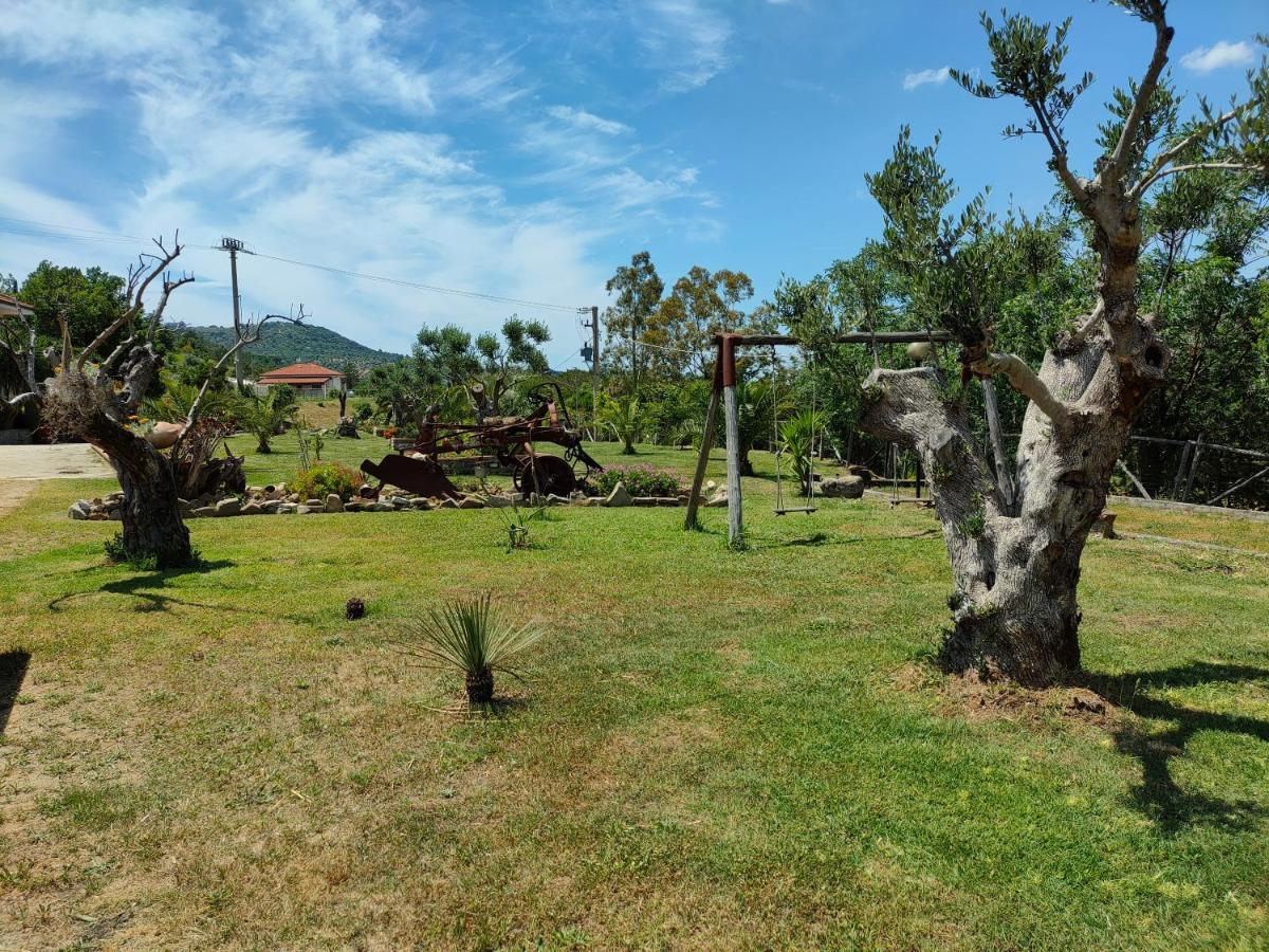 Cicerale Azienda Agrituristica Verdevalle المظهر الخارجي الصورة