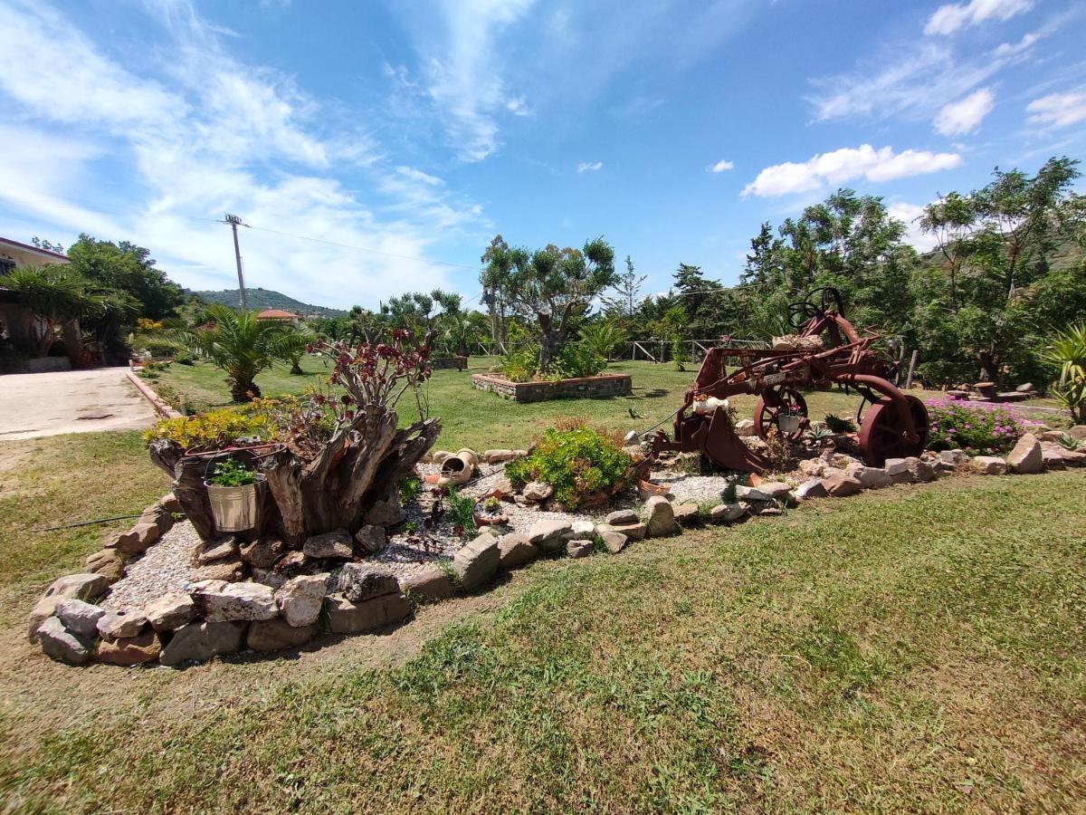 Cicerale Azienda Agrituristica Verdevalle المظهر الخارجي الصورة